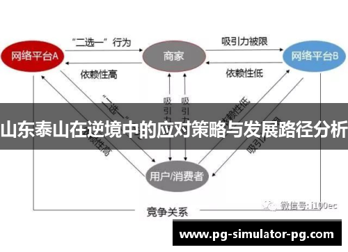 山东泰山在逆境中的应对策略与发展路径分析 山东泰山在逆境中的应对策略与发展路径分析