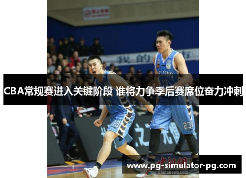 CBA常规赛进入关键阶段 谁将力争季后赛席位奋力冲刺 CBA常规赛进入关键阶段 谁将力争季后赛席位奋力冲刺