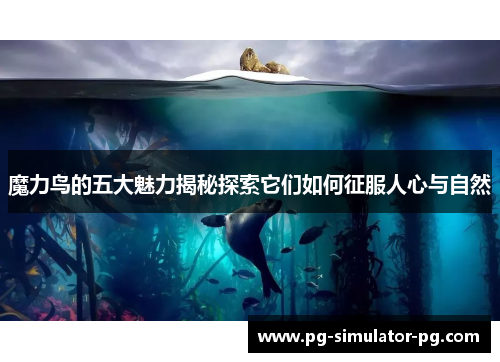 魔力鸟的五大魅力揭秘探索它们如何征服人心与自然 魔力鸟的五大魅力揭秘探索它们如何征服人心与自然