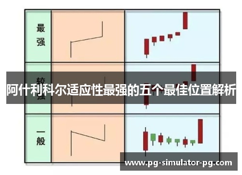 阿什利科尔适应性最强的五个最佳位置解析
