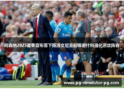 阿森纳2025夏季宣布签下斯洛文尼亚前锋谢什科强化进攻阵容 阿森纳2025夏季宣布签下斯洛文尼亚前锋谢什科强化进攻阵容